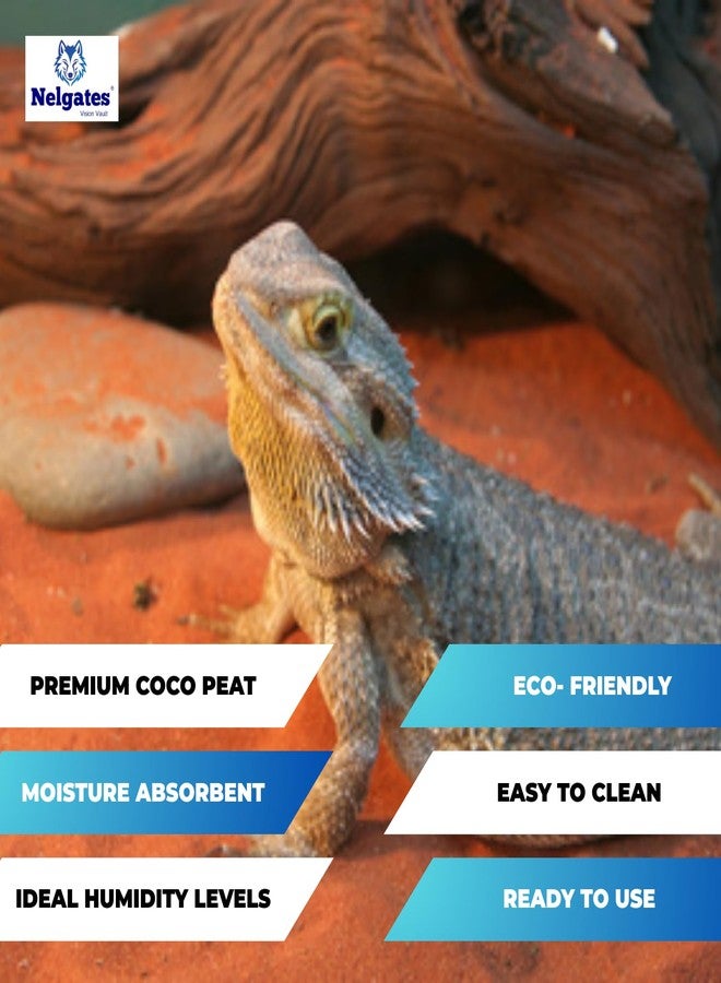 Nelgates Reptile Bedding Organic Coco peat Block for Snake Habitat, Ball Python Terrarium, Turtle Tanks, Enclosure (650g) - Image 2